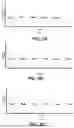 Fig. 07 - NUCLEATION-FREE DEPOSITION