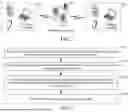 Fig. 02 - METHOD AND APPARATUS FOR CONTROLLING VIDEO STREAM TRANSMISSION, DEVICE, AND MEDIUM