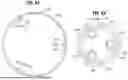 Fig. 33 - MECHANICALLY EXPANDABLE HEART VALVE