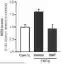 Fig. 01 - Fumaric Acid Esters, Inhalation Administration Methods, Pharmaceutical Uses and Compositions