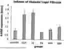 Fig. 01 - COMBINATION OF COMPOUNDS FOR TREATING VASCULAR DISEASES COMPRISING PDE5 INHIBITOR, ARGININE AND N-ACETYLCYSTEINE