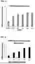 Fig. 03 - COMBINATION OF COMPOUNDS FOR TREATING VASCULAR DISEASES COMPRISING PDE5 INHIBITOR, ARGININE AND N-ACETYLCYSTEINE