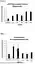 Fig. 04 - COMBINATION OF COMPOUNDS FOR TREATING VASCULAR DISEASES COMPRISING PDE5 INHIBITOR, ARGININE AND N-ACETYLCYSTEINE