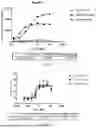 Fig. 09 - BISPECIFIC RECOMBINANT PROTEIN AND USE THEREOF
