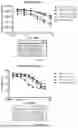 Fig. 13 - BISPECIFIC RECOMBINANT PROTEIN AND USE THEREOF