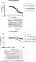 Fig. 15 - BISPECIFIC RECOMBINANT PROTEIN AND USE THEREOF