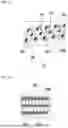 Fig. 08 - BATTERY CELL GRIPPER AND BATTERY CELL TRANSFER DEVICE INCLUDING THE SAME