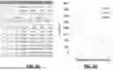Fig. 07 - METHODS, SYSTEMS AND APPARATUS FOR CONTROLLING MOVEMENT OF TRANSPORTING DEVICES