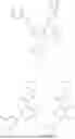 Fig. 172 - MODULATORS OF TREX1