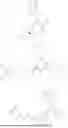 Fig. 187 - MODULATORS OF TREX1