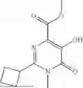 Fig. 28 - MODULATORS OF TREX1