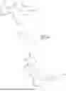 Fig. 331 - DEGRADATION AGENT AND USE THEREOF