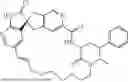 Fig. 124 - CGRP ANTAGONIST COMPOUNDS