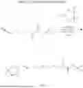Fig. 178 - CGRP ANTAGONIST COMPOUNDS