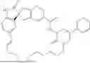 Fig. 53 - CGRP ANTAGONIST COMPOUNDS