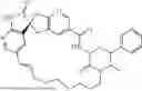 Fig. 96 - CGRP ANTAGONIST COMPOUNDS