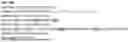 Fig. 41 - METHODS FOR MODULATING AN IMMUNE RESPONSE