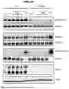 Fig. 04 - CD95 POLYPEPTIDES