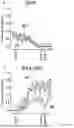 Fig. 06 - CD95 POLYPEPTIDES