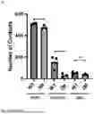 Fig. 07 - CD95 POLYPEPTIDES