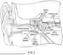 Fig. 02 - ANTI-VEGF ANTIBODY CONSTRUCTS AND RELATED METHODS FOR TREATING VESTIBULAR SCHWANNOMA ASSOCIATED SYMPTOMS