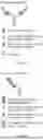 Fig. 02 - BISPECIFIC ANTIGEN-BINDING MOLECULE AND USE THEREOF