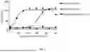 Fig. 05 - BISPECIFIC ANTIGEN-BINDING MOLECULE AND USE THEREOF