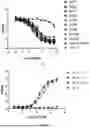 Fig. 06 - ANTIBODIES SPECIFICALLY RECOGNIZING FCRN AND USES THEREOF