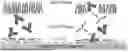 Fig. 01 - METHOD FOR PREPARING ANTIBODY-CONTAINING FORMULATION