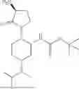 Fig. 166 - CYTOTOXICITY TARGETING CHIMERAS