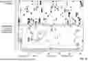 Fig. 06 - CATALYTICALLY DEAD ENGINEERED PROTEINS