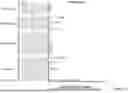 Fig. 49 - CATALYTICALLY DEAD ENGINEERED PROTEINS
