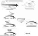 Fig. 83 - CATALYTICALLY DEAD ENGINEERED PROTEINS