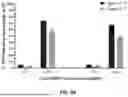 Fig. 89 - CATALYTICALLY DEAD ENGINEERED PROTEINS