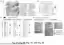 Fig. 04 - COMPOSITIONS FOR SEQUESTERING ISOAMYL AMINE AND METHODS OF USE THEREFOR