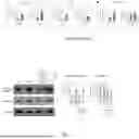 Fig. 14 - COMPOSITIONS FOR SEQUESTERING ISOAMYL AMINE AND METHODS OF USE THEREFOR