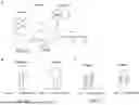 Fig. 02 - METHODS, COMPOSITIONS, AND DEVICES INVOLVING PSEUDOKNOT FORMATION