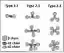 Fig. 01 - GLYCAN STRUCTURES OF HAPTOGLOBIN AS A BIOMARKER OF HEPATOCELLULAR CARCINOMA