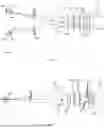 Fig. 02 - IMAGING OPTICAL SYSTEM AND MEASURING DEVICE