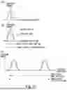 Fig. 14 - IMAGE FORMING APPARATUS
