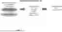 Fig. 02 - T CELL RECEPTOR SCREENING METHODS