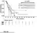 Fig. 09 - T CELL RECEPTOR SCREENING METHODS