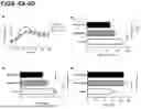 Fig. 06 - METHODS AND DEVICES FOR IMPROVING SLEEP QUALITY AND/OR SUBSEQUENT BEHAVIOURAL OUTCOMES
