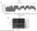Fig. 09 - ELECTRONIC DEVICE PROVIDING SLEEP STATUS DETERMINATION USING ARTIFICIAL INTELLIGENCE, OPERATION METHOD OF THE SAME AND SYSTEM