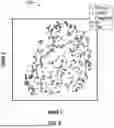 Fig. 07 - SYSTEMS AND METHODS FOR IDENTIFYING AND TREATING PRIMARY AND LATENT INFECTIONS AND/OR DETERMINING TIME SINCE INFECTION