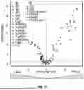 Fig. 13 - SYSTEMS AND METHODS FOR IDENTIFYING AND TREATING PRIMARY AND LATENT INFECTIONS AND/OR DETERMINING TIME SINCE INFECTION