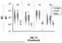 Fig. 15 - SYSTEMS AND METHODS FOR IDENTIFYING AND TREATING PRIMARY AND LATENT INFECTIONS AND/OR DETERMINING TIME SINCE INFECTION