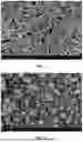 Fig. 03 - SINGLE-CRYSTAL TERNARY CATHODE MATERIAL AND PREPARATION METHOD THEREFOR AND APPLICATION THEREOF