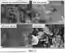 Fig. 02 - NEGATIVE ELECTRODE ACTIVE MATERIAL FOR SECONDARY BATTERY, METHOD OF PREPARING THE SAME AND LITHIUM SECONDARY BATTERY INCLUDING THE SAME