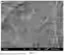 Fig. 02 - CELLULOSE-BASED ALL-SOLID-STATE POLYMER ELECTROLYTE SEPARATOR, PREPARATION METHOD THEREFOR AND APPLICATION THEREOF